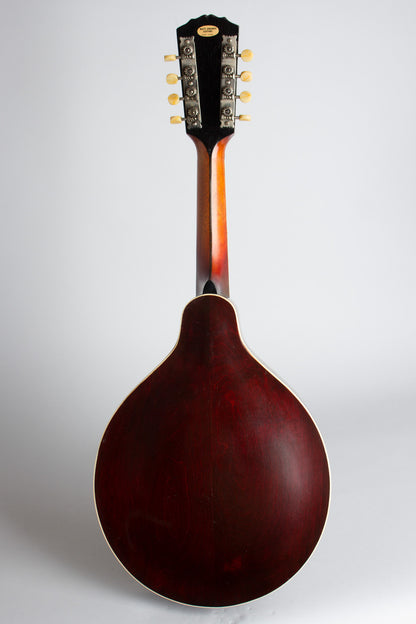 Gibson H-2 Carved Top Mandola (1919)