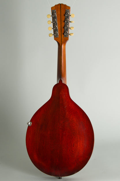 Gibson Style A-1 Carved Top Mandolin (1915)
