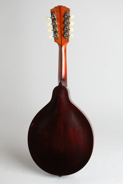 Gibson Style A-1 Carved Top Mandolin (1914)