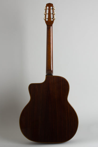 Rodrigo Shopis Gypsy Jazz Guitar (2010)