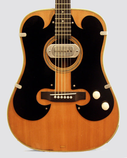 Bigsby/Martin Acoustic-Electric Guitar