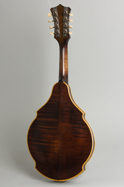 Bacon William Place Jr. Artist Model Carved Top Mandolin (1921)
