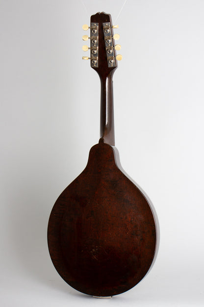 Gibson A-Junior Snakehead Carved Top Mandolin (1928)