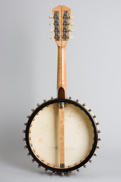 Vega Fairbanks Little Wonder Mandolin Banjo (1917)