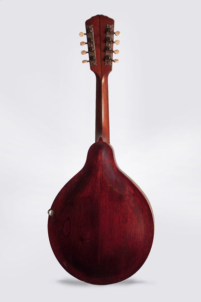 Gibson H-1 Carved Top Mandola (1912)