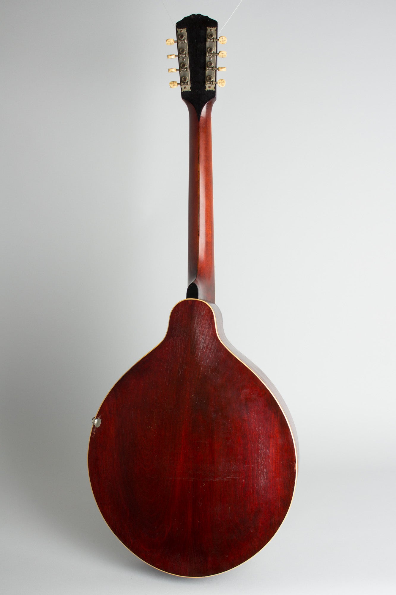 Gibson K-2 Carved Top Mandocello (1911)