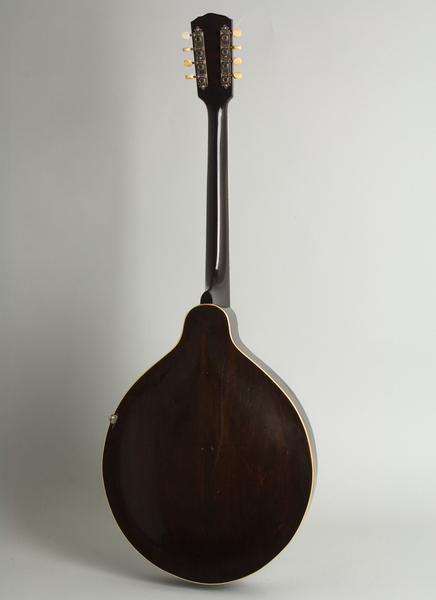 Gibson K-1 Carved Top Mandocello (1924)