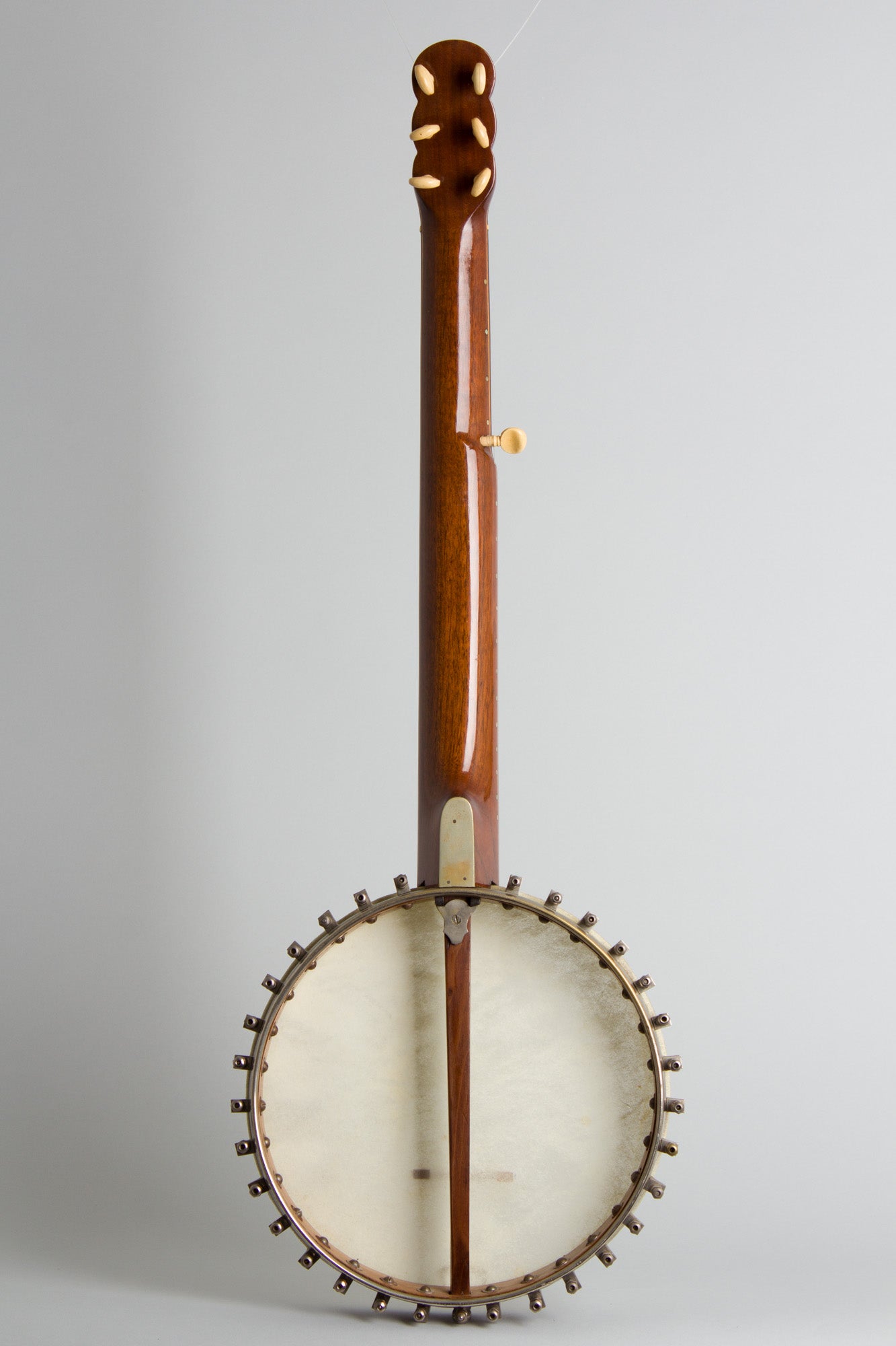unlabelled 7 String Fretless Banjo (1890)