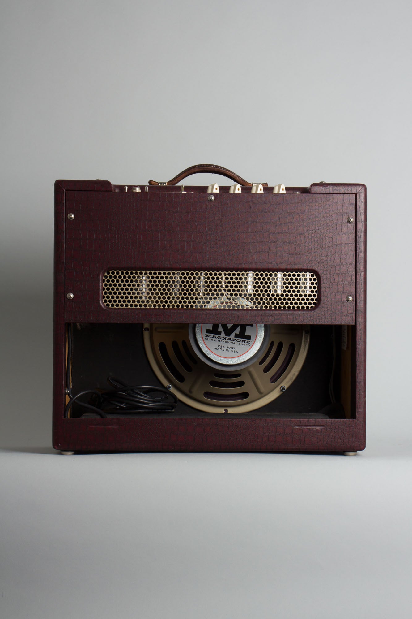 Magnatone Varsity Reverb Tube Amplifier (2013)