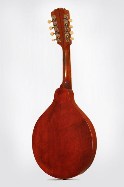 Gibson Style A-1 Carved Top Mandolin (1917)