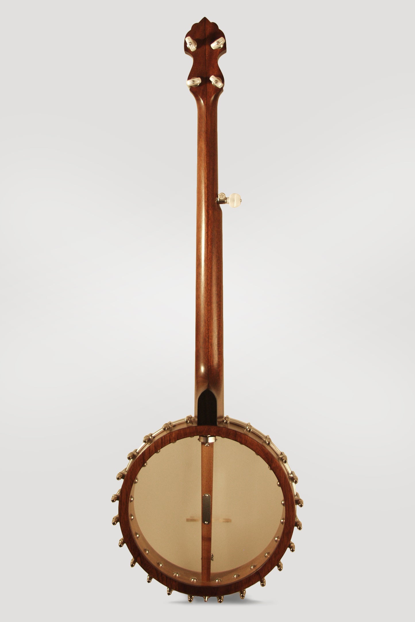 Bart Reiter Standard 5 String Banjo (2012)