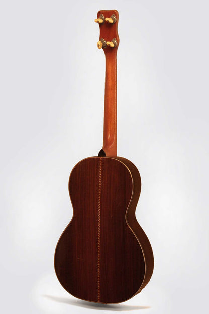 Regal Professional Flat Top Tenor Guitar (1928)