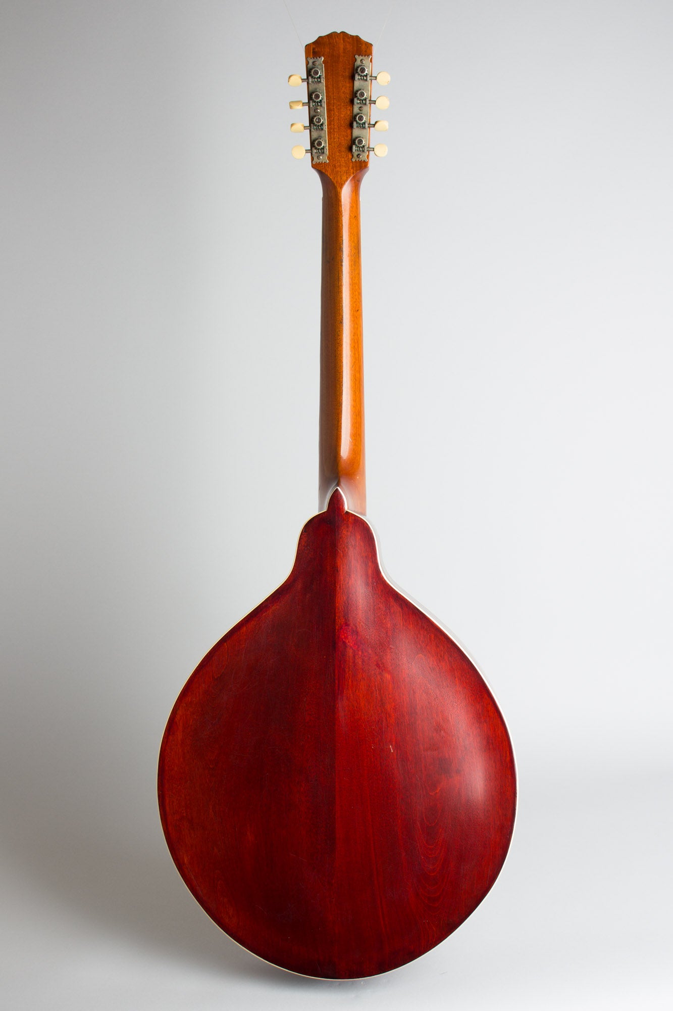 Gibson K-1 Carved Top Mandocello (1912)