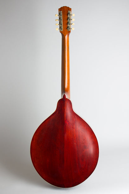 Gibson K-1 Carved Top Mandocello (1912)