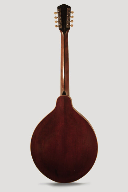 Gibson K-2 Carved Top Mandocello (1912)