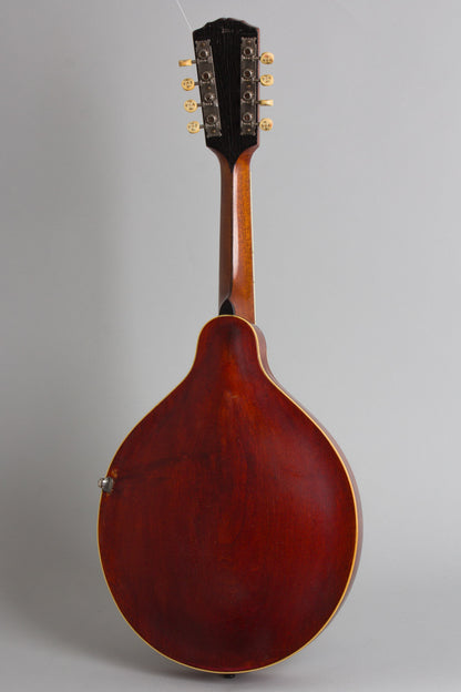 Gibson H-2 Carved Top Mandola (1913)