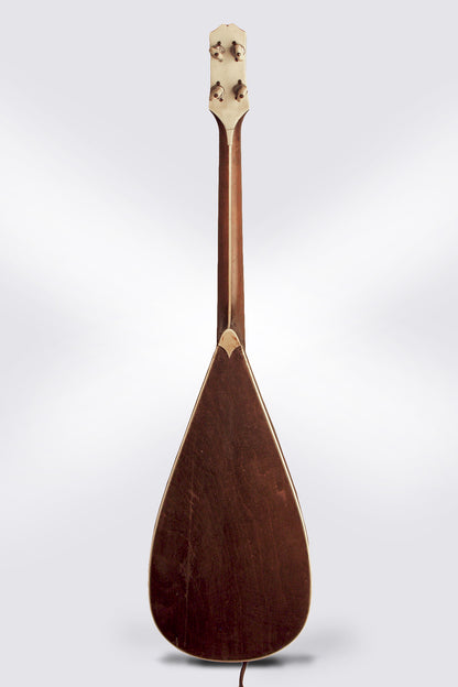 Vivi-Tone Electric Lute-Body Tenor Guitar (1933)