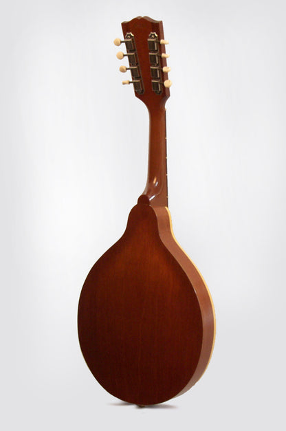 Gibson A-40N Carved Top Mandolin (1962)
