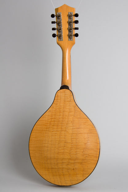 Stradolin Model 421 Arch Top Mandolin (1940's)