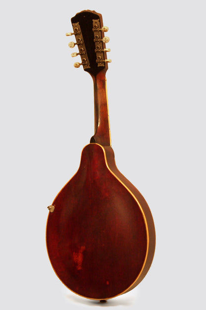Gibson A-4 Carved Top Mandolin (1916)