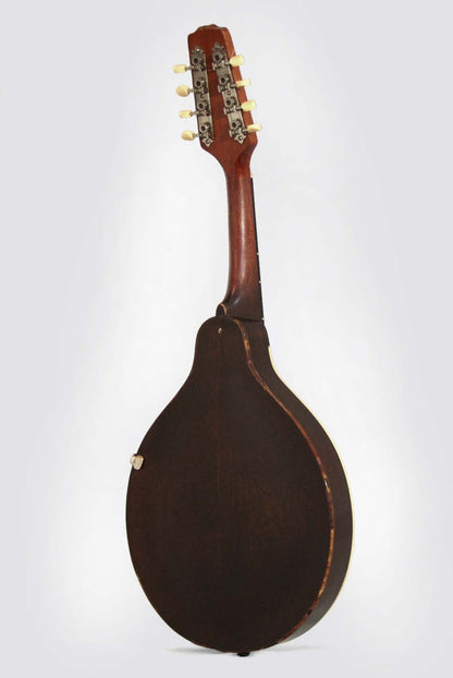 Gibson Style A ""Snakehead"" Carved Top Mandolin (1923)