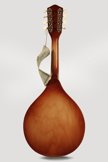 Harmony H-8010 Arch Top Mandolin (1972)