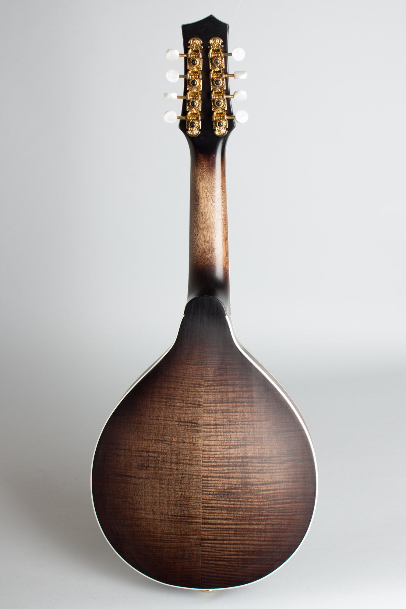 Gold Tone GM-Custom Arch Top Mandolin (2014)