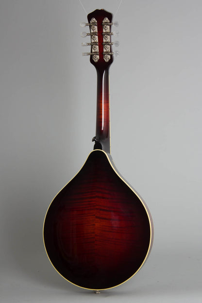Weber Absaroka Carved Top Mandolin (2005)