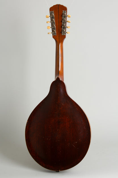 Gibson Style H-1 Carved Top Mandola (1910)