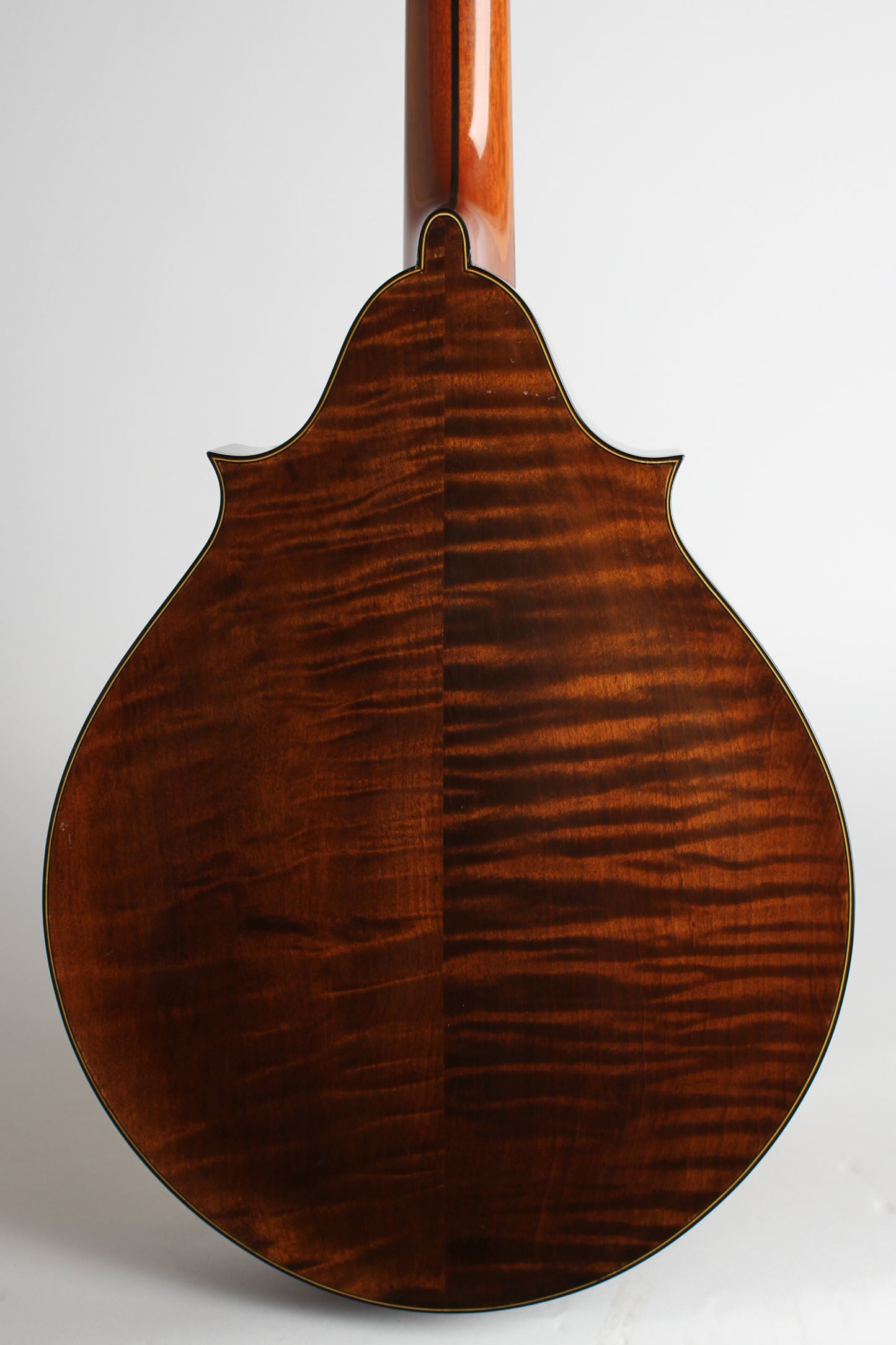 Lyon & Healy Washburn Style 5310 Carved Top Mandocello (1925)