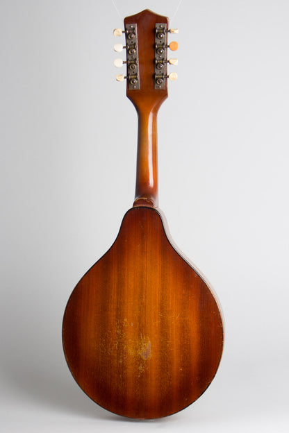 Stradolin Orpheum Style B Arch Top Mandolin (1950)