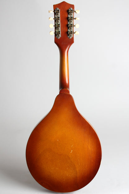 Stradolin Model 420 Arch Top Mandolin (1950)