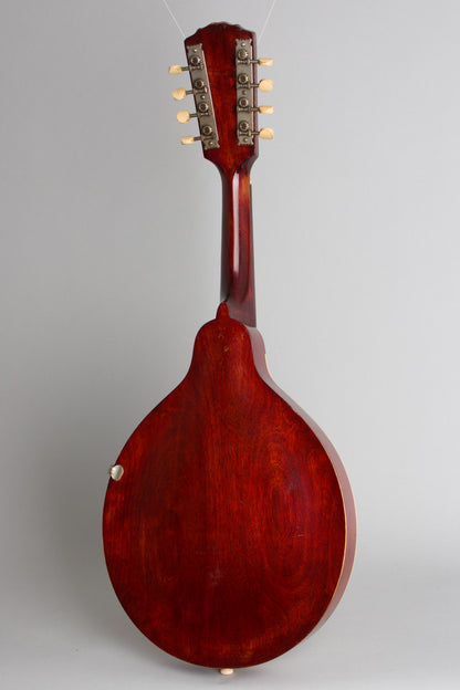 Gibson Style A- Carved Top Mandolin (1914)