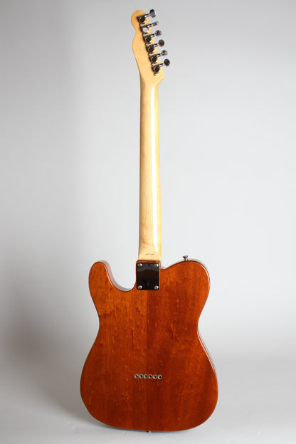Fender Telecaster Thinline 1969 Re-Issue Solid Body Electric Guitar (1985)