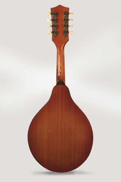 Stradolin Arch Top Mandolin (1950)