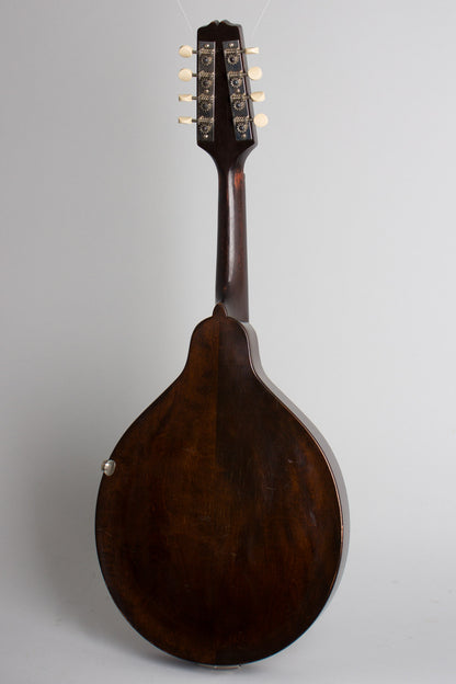 Gibson A-Junior Snakehead Carved Top Mandolin (1925)