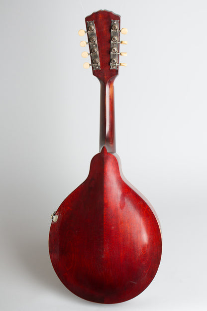 Gibson Style A- Carved Top Mandolin (1913)