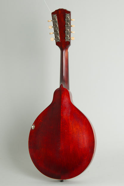 Gibson Style A- Carved Top Mandolin (1913)