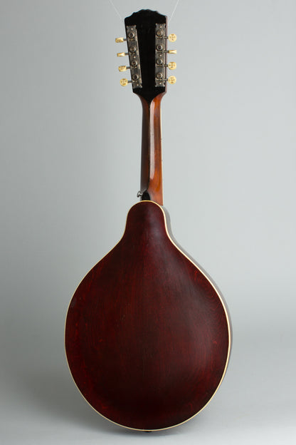 Gibson H-2 Carved Top Mandola (1914)