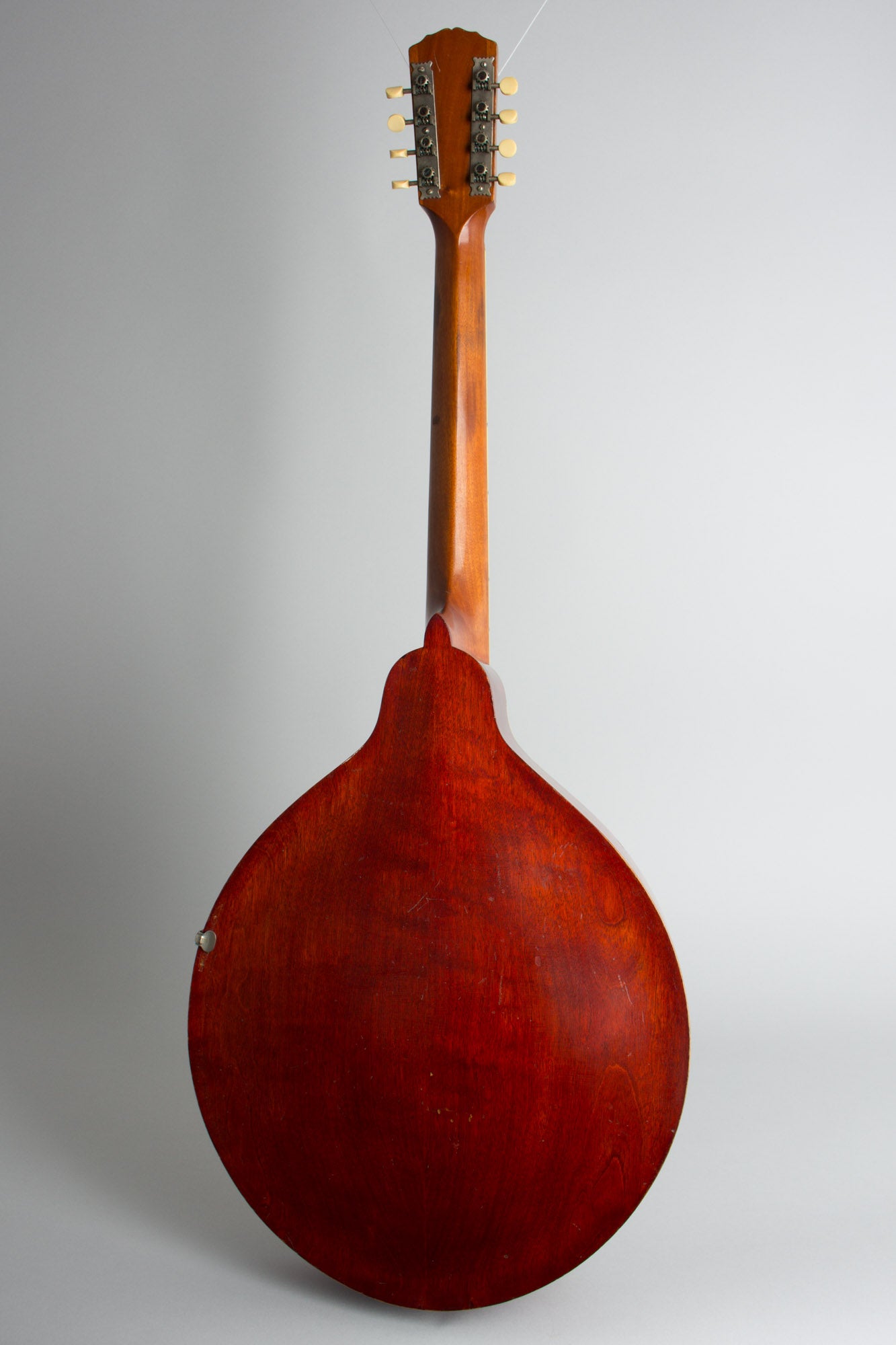 Gibson K-1 Carved Top Mandocello (1914)