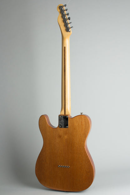 Fender Telecaster Thinline Semi-Hollow Body Electric Guitar (1969)