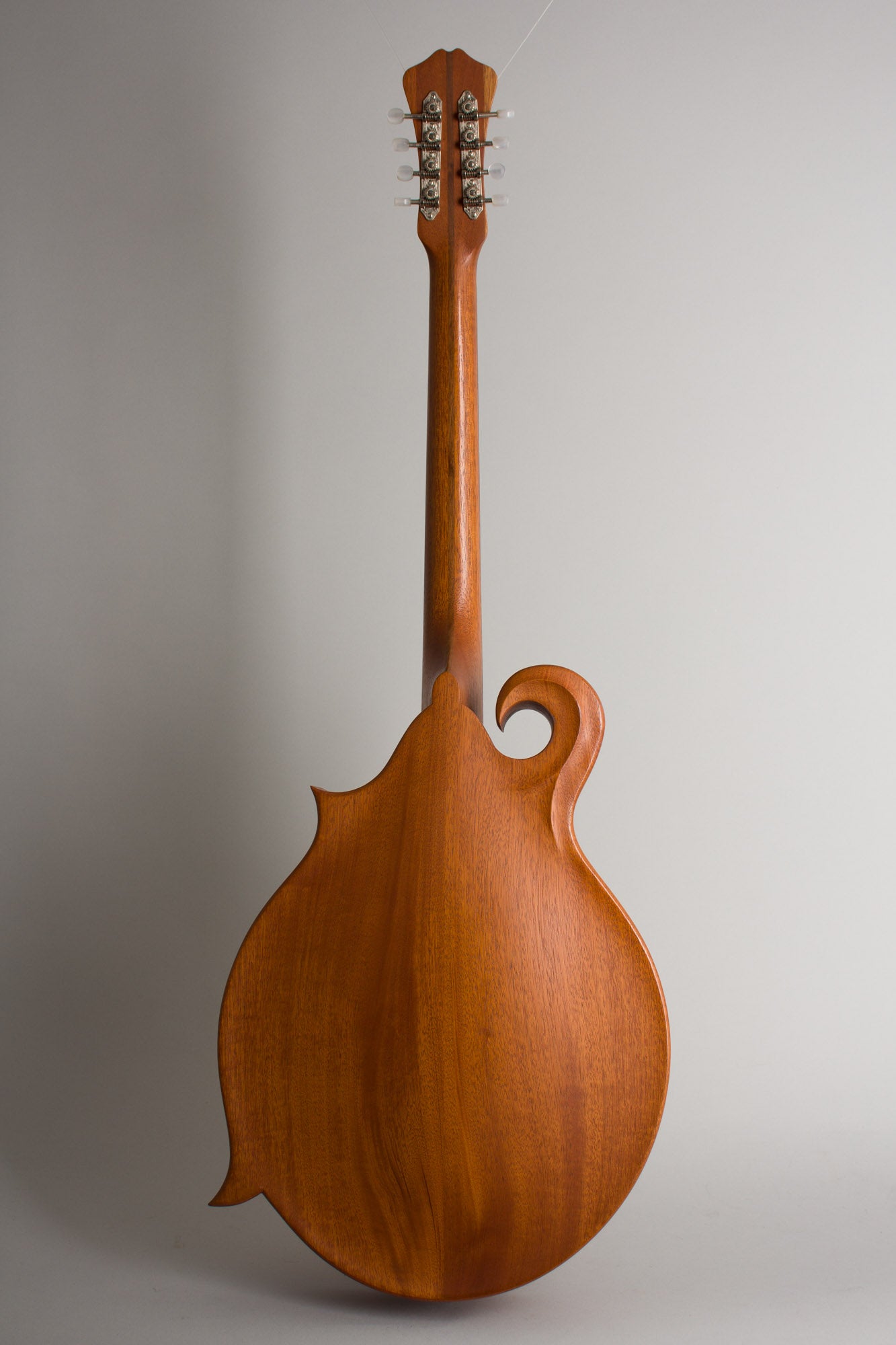Weber Gallatin Carved Top Mandocello (2003)