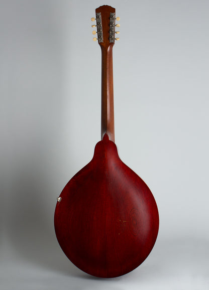 Gibson K-1 Carved Top Mandocello (1912)