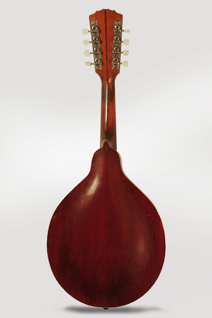 Gibson Style A-1 Arch Top Mandolin (1917)