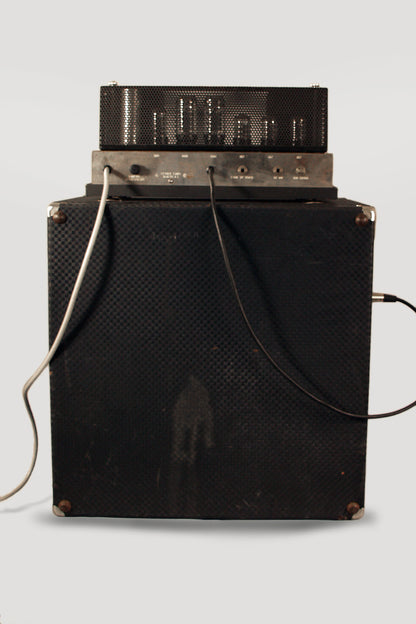 Ampeg B-15 Tube Bass Amplifier (1966)