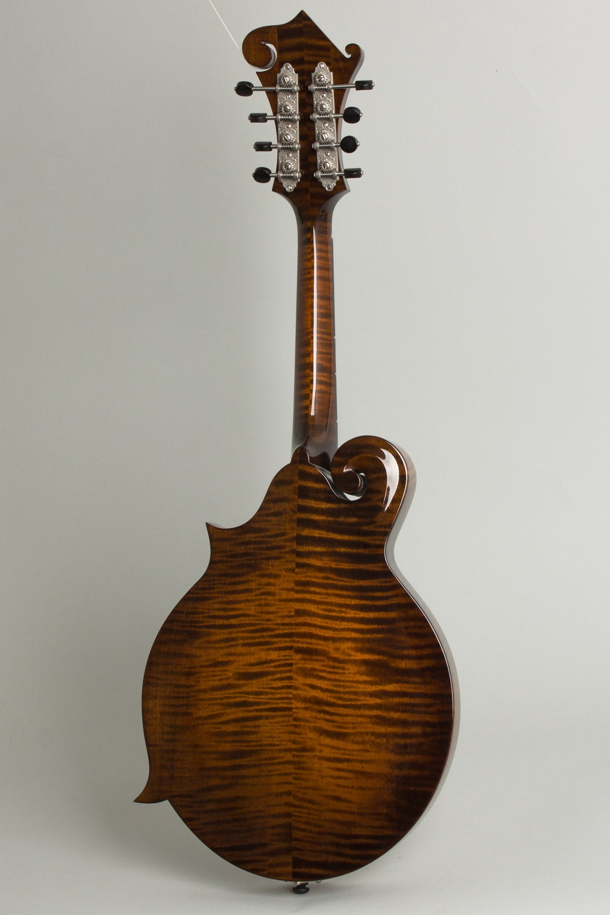 Northfield NFS-F5E Ltd Carved Top Mandolin (2026)
