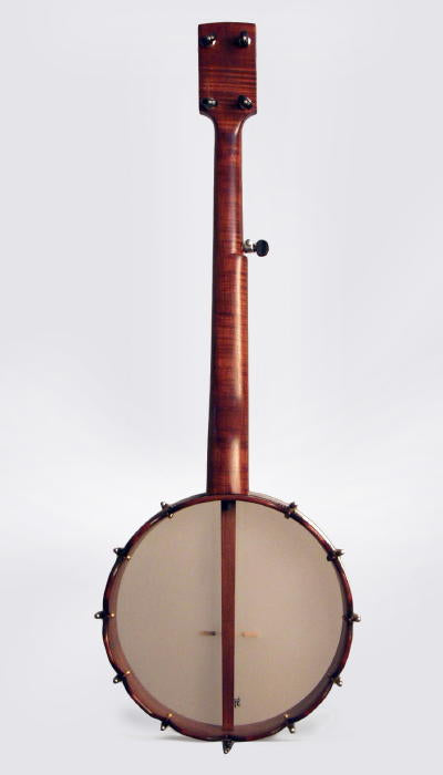 unknown 5 String Fretless Banjo