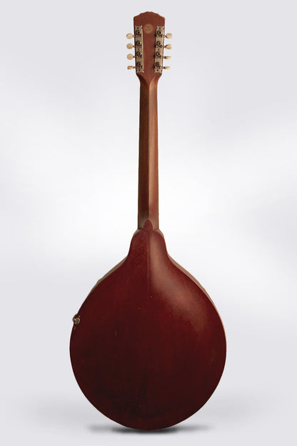 Gibson K-1 Carved Top Mandocello (1912)