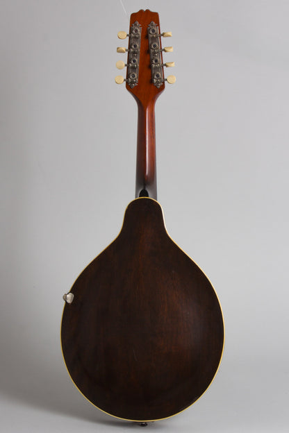 Gibson Style A-1 Snakehead Carved Top Mandolin (1923)