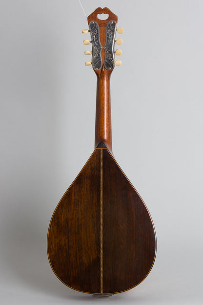 C. F. Martin Style B Flat Back Mandolin (1919)